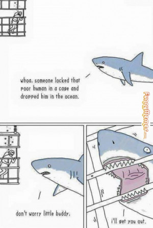 Just Something Funny: Funny memes – Sharks are so misunderstood