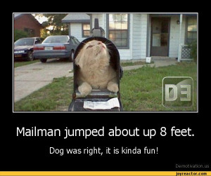 Mailman jumped about up 8 feet.Dog was right, it is kinda fun!De ...