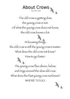 photos crows th crows wisdom amazing crows counting crows quotes crows ...