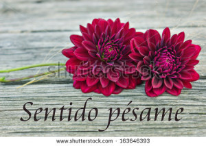 Condolences Images In Spanish Condolences/spanish
