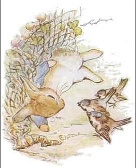 The Tale of Peter Rabbit -- imploring