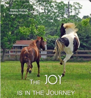 The JOY is in the journey http://www.happyhorsehealthyplanet.com/