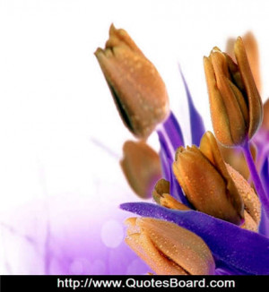 All a girl really wants is for one guy to prove to her that they are ...