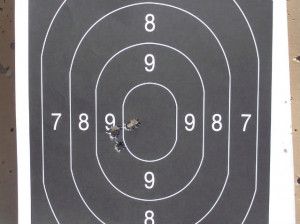 rnds, Winchester PDX1 225 gr, hp 45 Colt, off hand @ 10 yds.