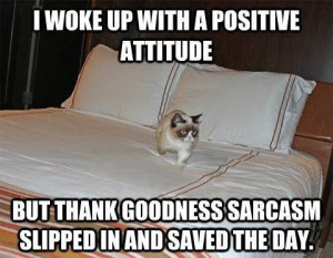 funny-Grumpy-Cat-positive-attitude-sarcasm-save-day
