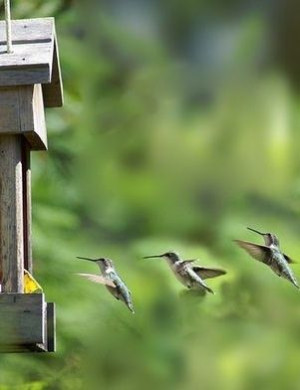 Source: http://itunes.apple.com/us/app/photo-uploader-for-pinterest ...