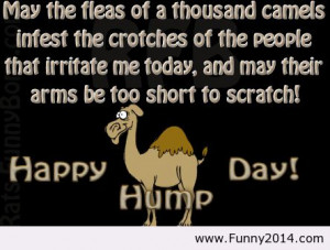 Hump Day Quotes