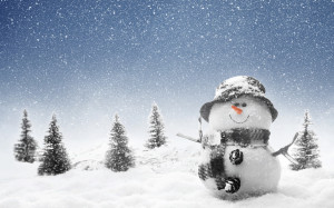 Winter Snowman Wallpapers Pictures Photos Images