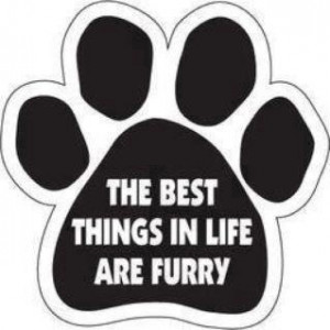 The best things in life are furry -amen. Shout out to my kitties ...