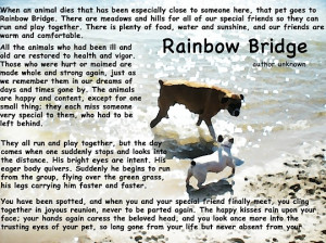 quotes about losing a dog