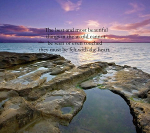 The Best and most Beautiful Things in the World : Beauty Quote