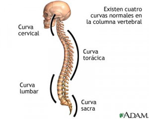 Enfermedades congénitas e idiopáticas de columna vertebral