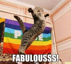 Fabulous Kitty – Cranky Cat Memes