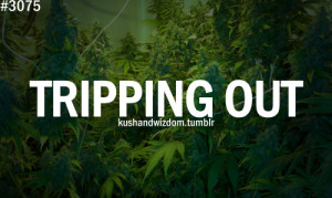 Weed Marijuana Kush Stoner Quotes