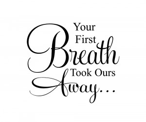 Your First Breath Took Ours Away Vinyl Quote