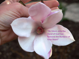 RUMI’s Inspired Valentine’s Day: “Hearts in Blossom with ...