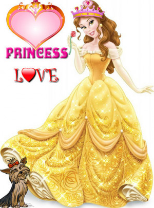 Princess-Belle-disney-princess-34248701-370-500.jpg