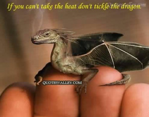 If You Can’t Take The Heat Don’t Tickle The Dragon