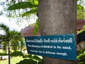 52 inspiring Buddhist quotes and sayings on life