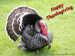 Happy-Thanksgiving-quotes-wishes-turkey | YourBirthdayQuotes.com