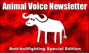 Anti Bullfighting