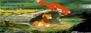 Fox and The Hound Profile Facebook Covers