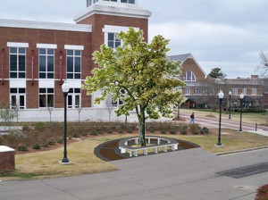 Msu Development And Alumni