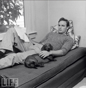Famous people who have owned Dachshunds Marlon Brando with his wiener ...