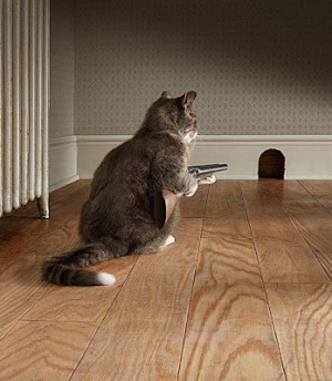 Come on out Jerry... I won't hurt you... : )