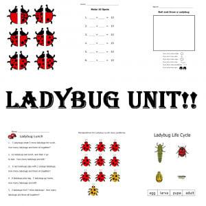 Click here to download the Ladybug Unit !