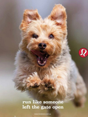 Love this lulu lemon run quote!!