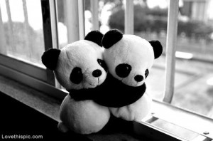 love it panda bear love