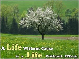 com/a-life-without-cause-is-a-life-without-effect-life-quote