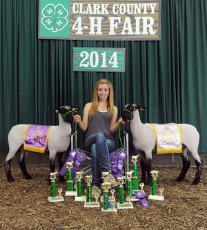 10 trophies, several blue ribbons, a Grand Champion Market Lamb ...