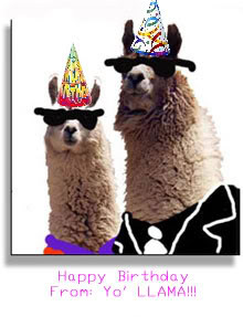 Thread: Happy Birthday Llama Lover !