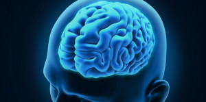 Israeli Researcher Makes Important Brain Cancer Discovery After Mother ...