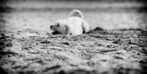 Black and White Inspirational Quotes