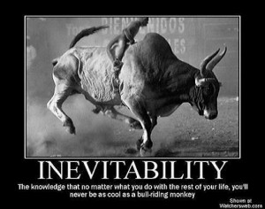 bull riding monkey Image