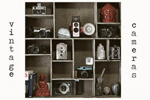 Quotes About Cameras Of vintage cameras and