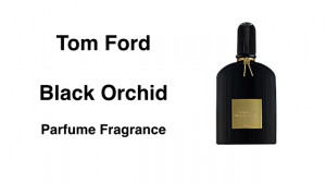 Tom Ford Black Orchid Parfume Fragrance