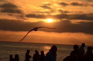 What is most beautiful photo you ever taken?