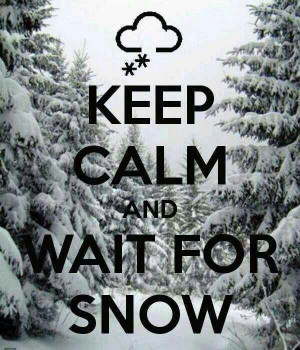 Ski Quotes, Snow, Winter Wonderland, White Christmas, So True, Cross ...