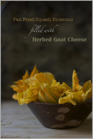 Pan Fried Squash Blossoms filled with creamy Herb Scented Goat Cheese