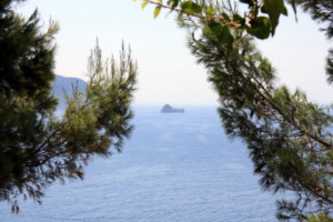 quotes from odysseuss journey pictures of odysseuss adventures in the ...