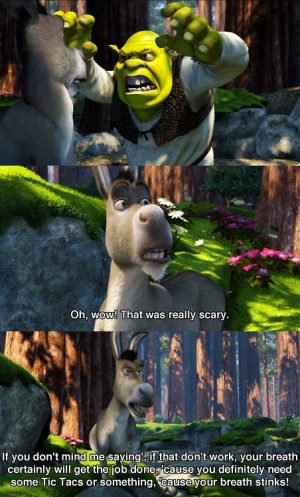 The sassiest and most hilarious character in Shrek: Donkey.