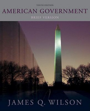 american wilson government