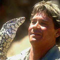 Steve Holding Lizard