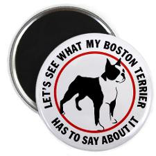 Boston Terrier Has to Say Magnet for