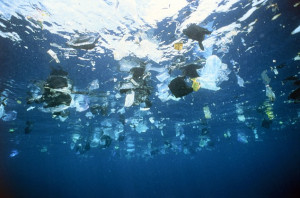 ... Great Pacific Garbage Patch' has increased HUNDREDFOLD since the 1970s