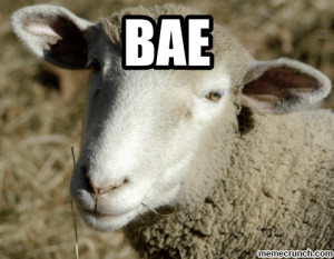 If they wanna call their BF/GF a sheep... i'm not gonna judge.